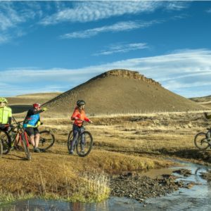 Safari Bike